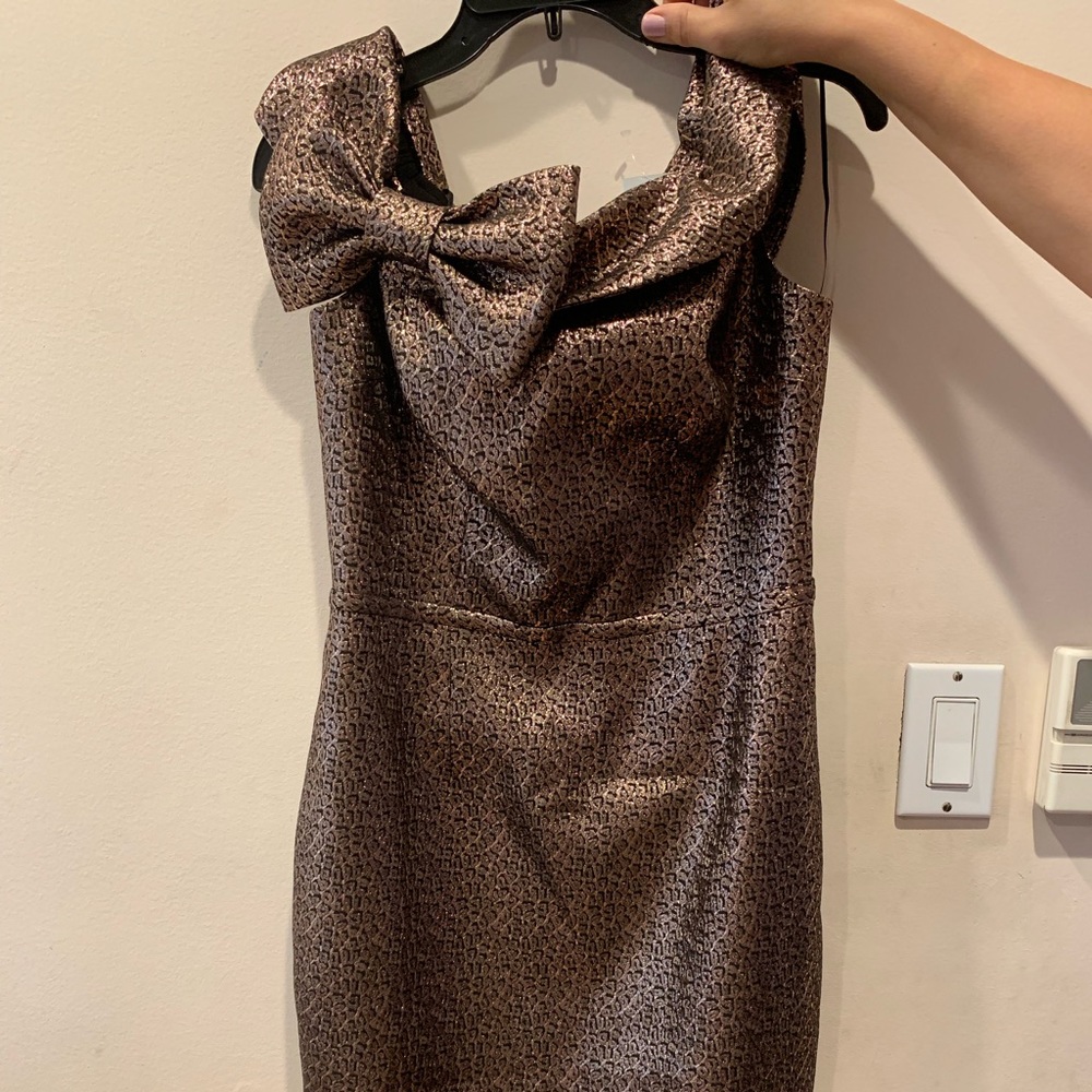 Teri Jon dress